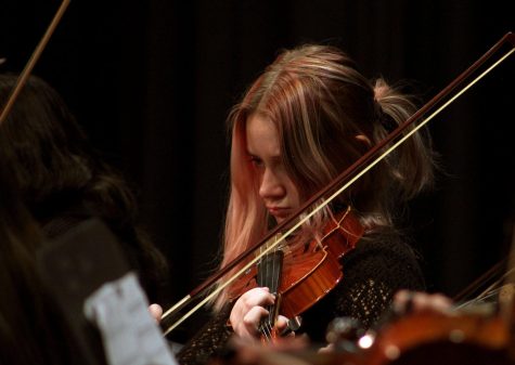 Sophomore Isabella Freidhof plays the violin.