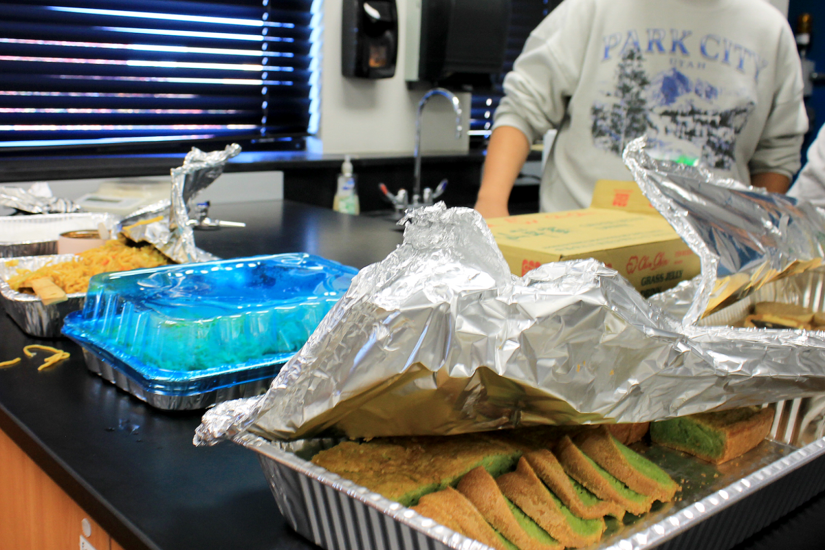 Food that was brought by the ASU members.